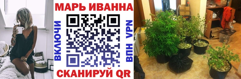 Бошки марихуана OG Kush Отрадное